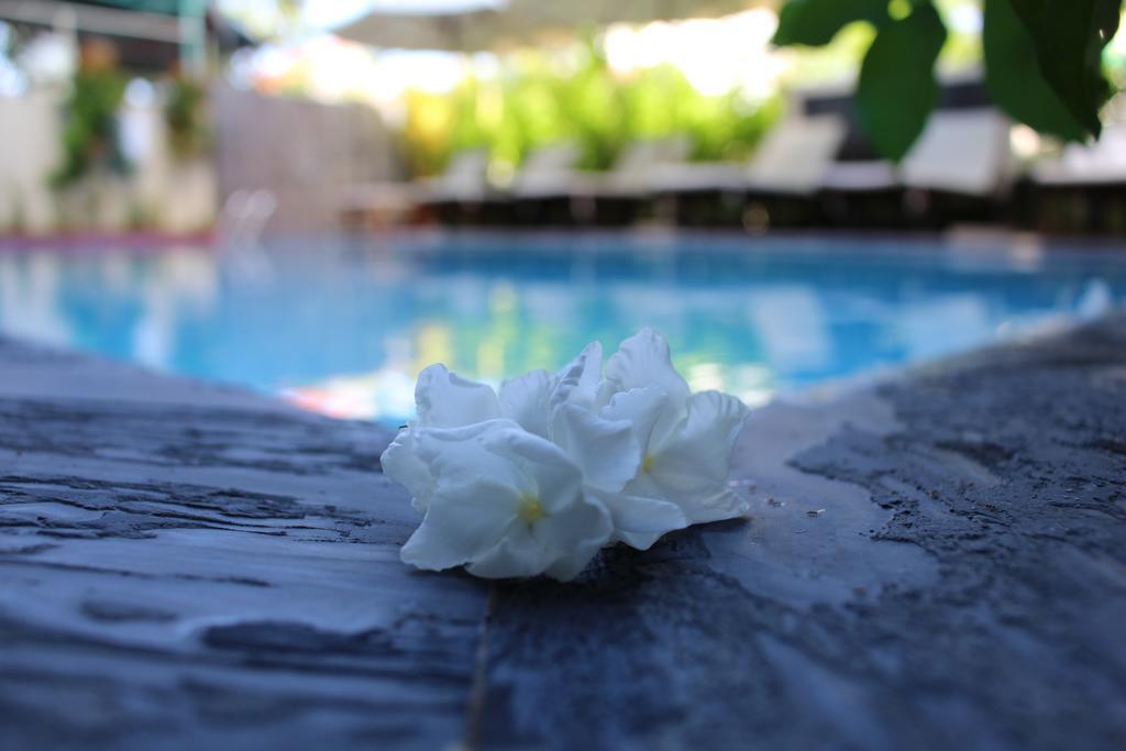 ฟูค ทาว วิลลา ฮอยอัน Villa ภายนอก รูปภาพ
